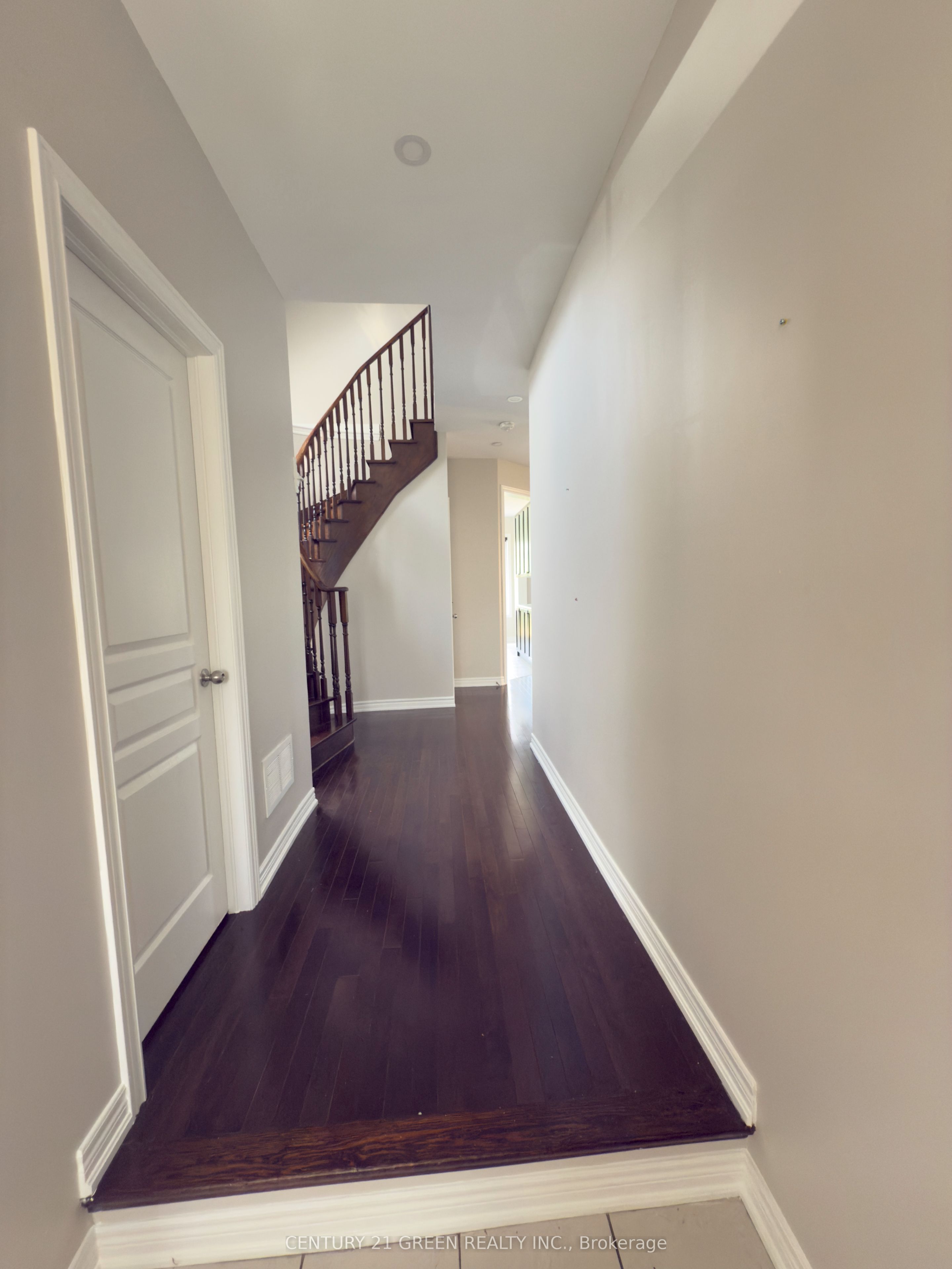 9 Borrelli Drive