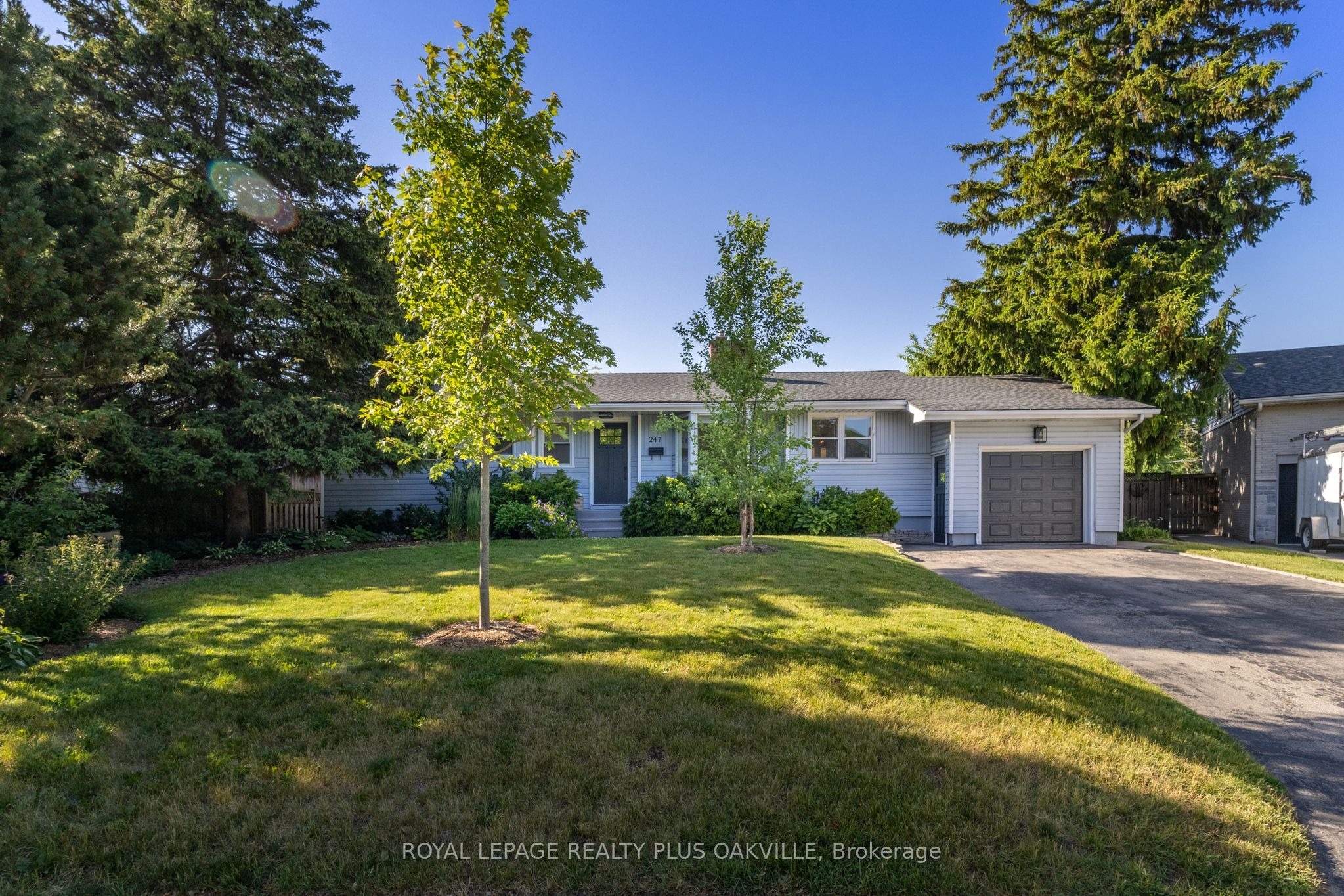 247 Elmhurst Crescent