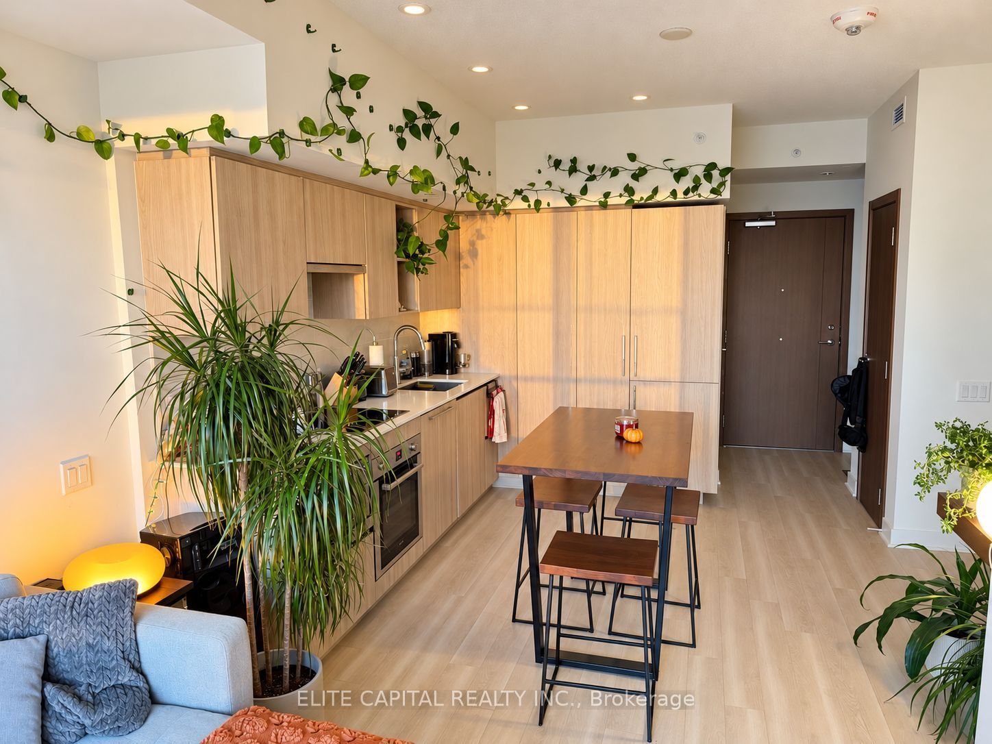 19 Bathurst Street 3607