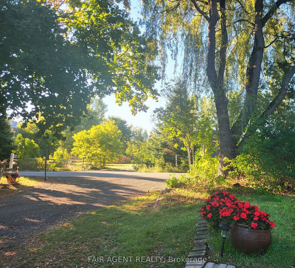 Photo of 591 CONCESSION 4 Road, Alfred and Plantagenet, ON K0B 1L0 (MLS # X12830366)