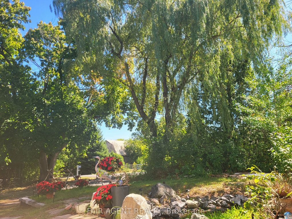 Photo of 591 CONCESSION 4 Road, Alfred and Plantagenet, ON K0B 1L0 (MLS # X12830366)