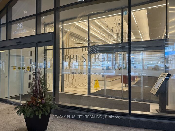 28 Freeland Street 4205