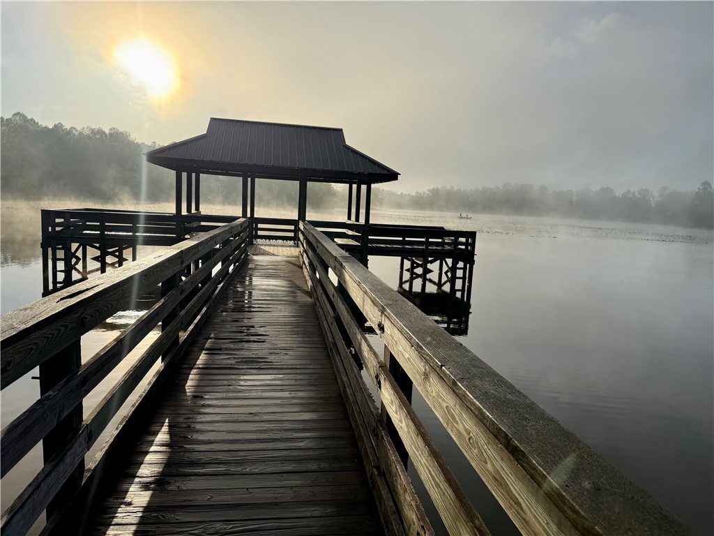3825 N Highway 101, Greer, South Carolina image 21