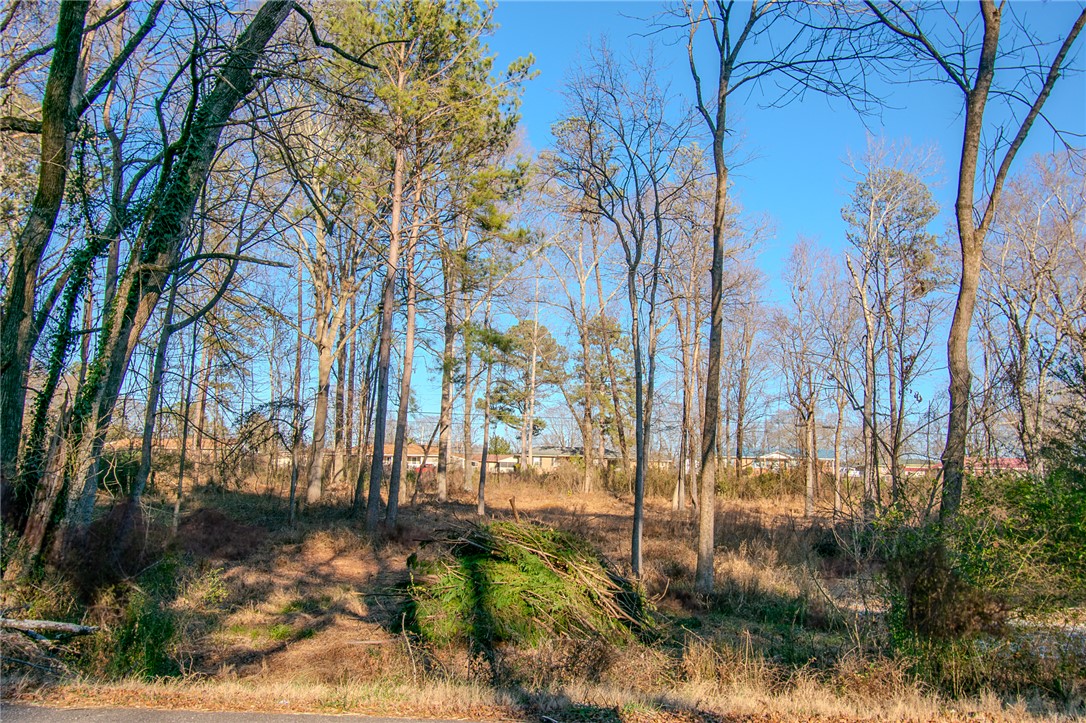 209 Hazelwood Avenue #LOT 12 BLOCK A, Anderson, South Carolina image 3