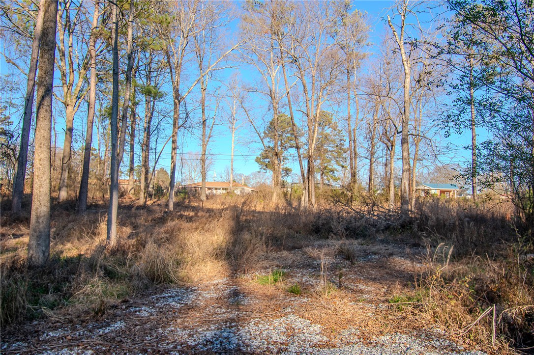 209 Hazelwood Avenue #LOT 12 BLOCK A, Anderson, South Carolina image 4