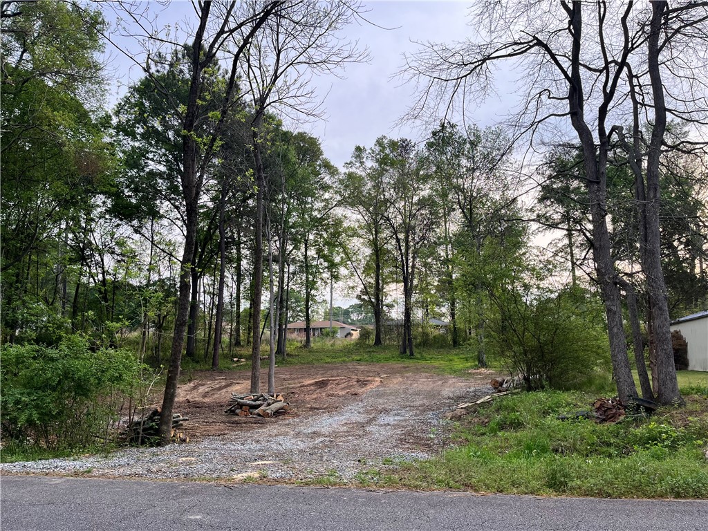 209 Hazelwood Avenue #LOT 12 BLOCK A, Anderson, South Carolina image 2
