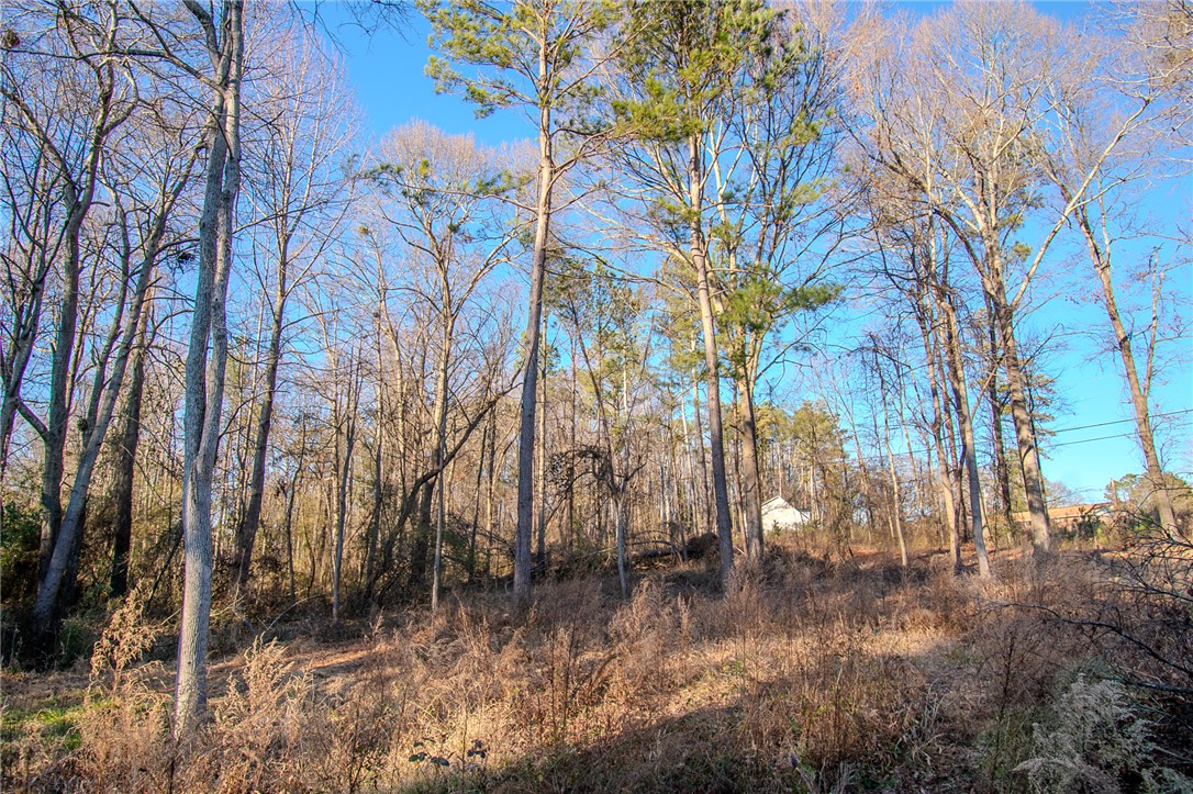 209 Hazelwood Avenue #LOT 12 BLOCK A, Anderson, South Carolina image 5