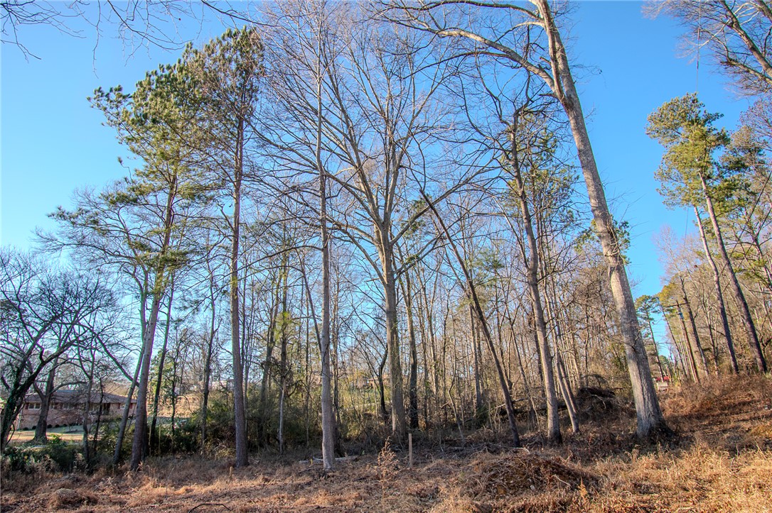 209 Hazelwood Avenue #LOT 12 BLOCK A, Anderson, South Carolina image 6