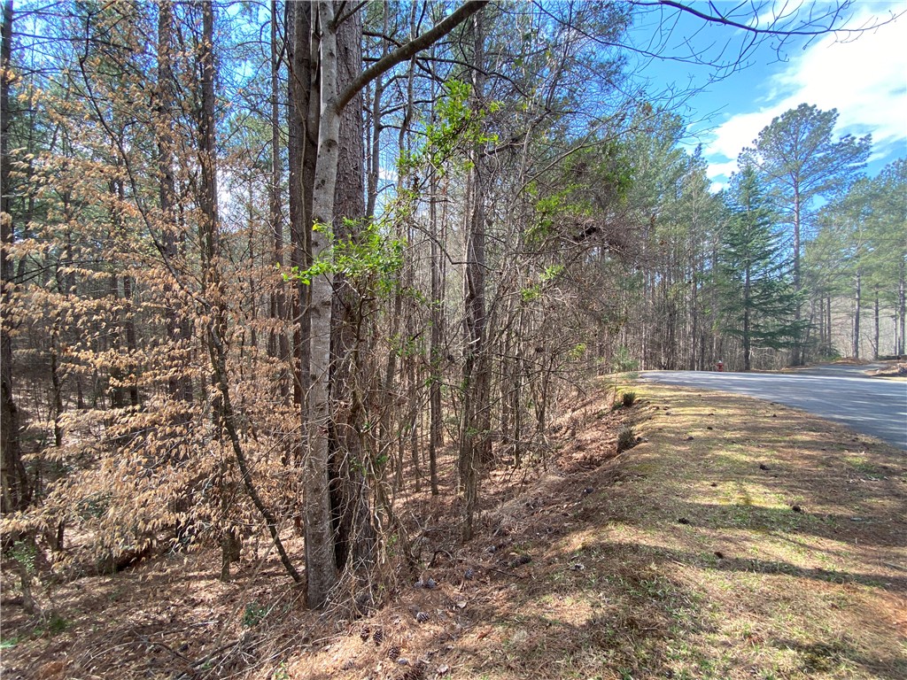 HR58 Cliffs South Parkway, Salem, South Carolina image 11