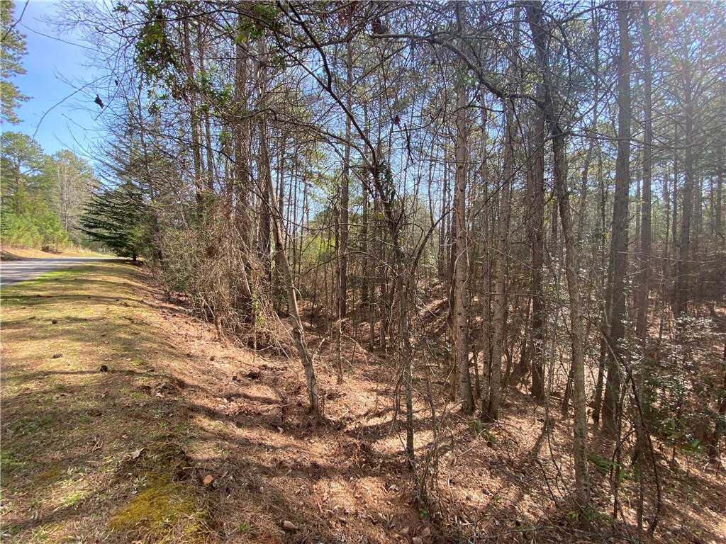 HR58 Cliffs South Parkway, Salem, South Carolina image 10