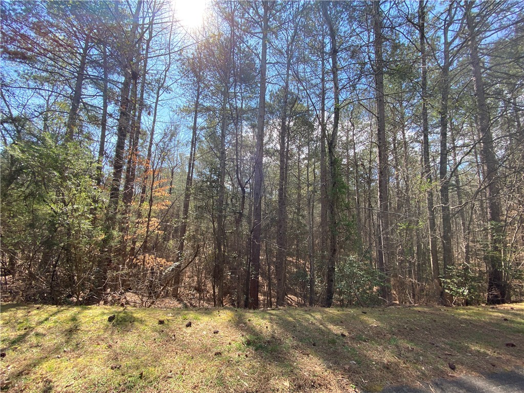 HR58 Cliffs South Parkway, Salem, South Carolina image 5