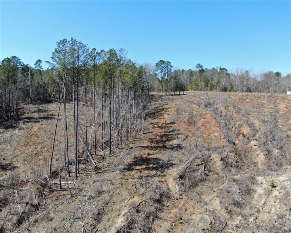 00 Elledge Road, Ware Shoals, South Carolina image 7