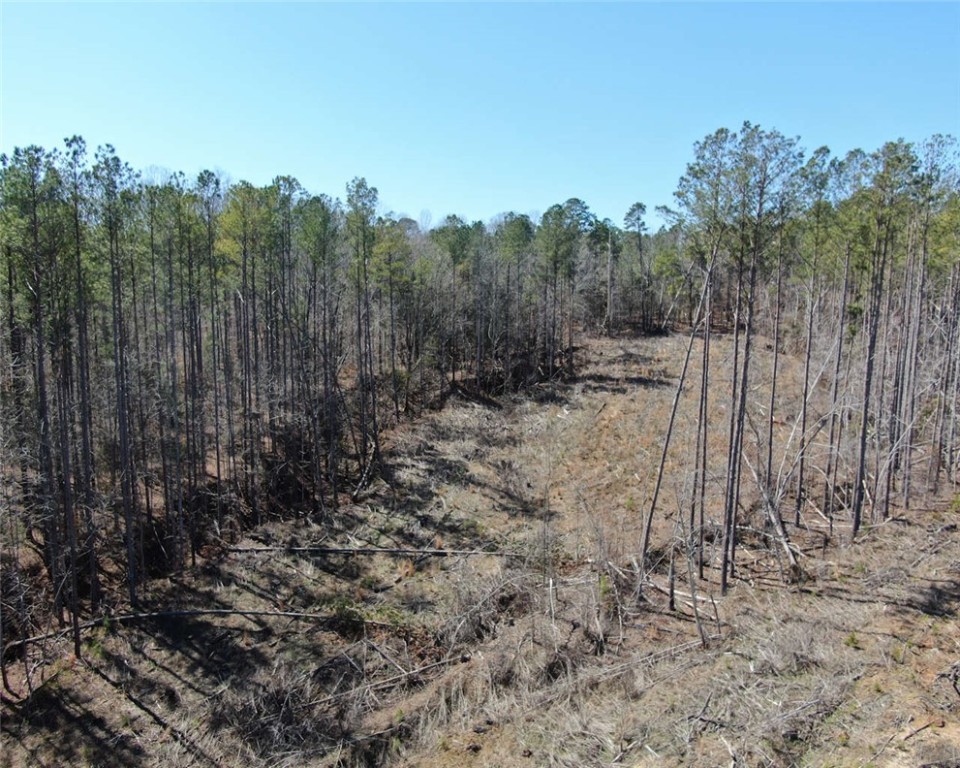 00 Elledge Road, Ware Shoals, South Carolina image 6