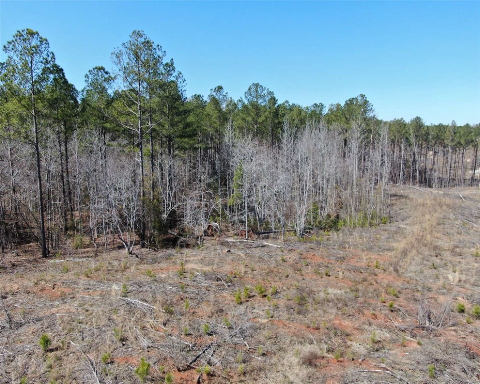 00 Elledge Road, Ware Shoals, South Carolina image 3