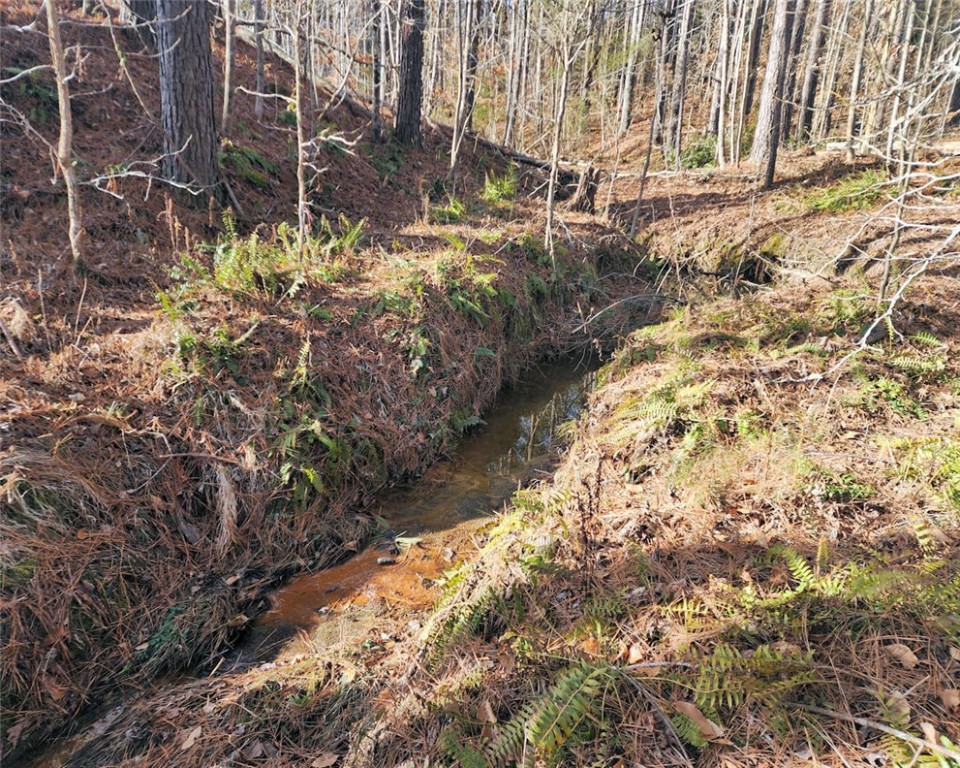 00 Elledge Road, Ware Shoals, South Carolina image 11