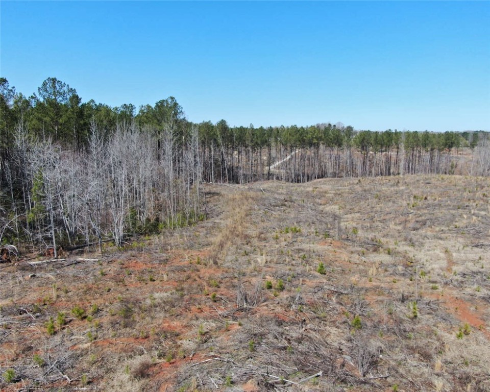 00 Elledge Road, Ware Shoals, South Carolina image 4