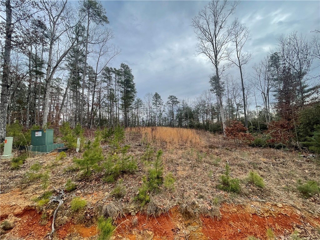 438 Falcons Lair West Drive, Walhalla, South Carolina image 3