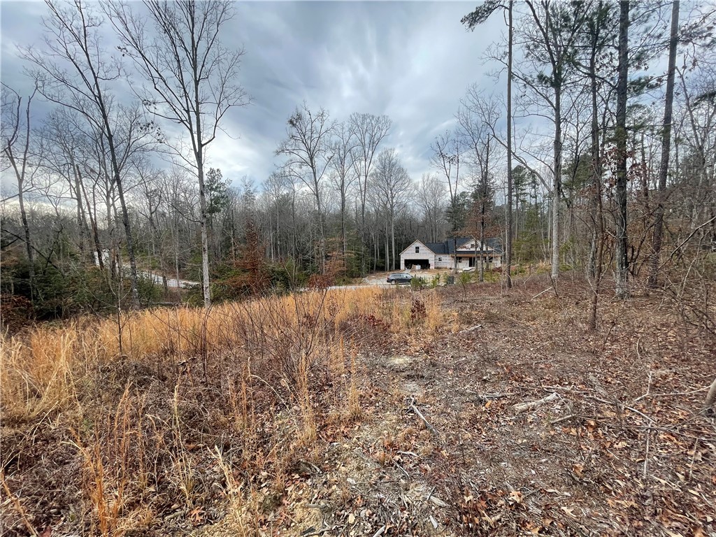 438 Falcons Lair West Drive, Walhalla, South Carolina image 5