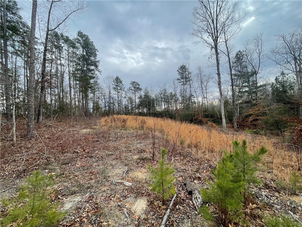 438 Falcons Lair West Drive, Walhalla, South Carolina image 12