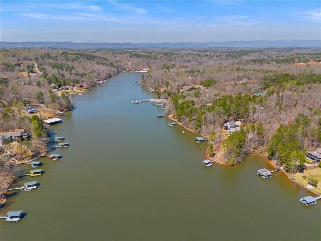 210 Waters Edge Lane, West Union, South Carolina image 47