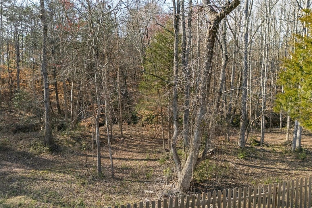 49 Puckett Mill Way, Central, South Carolina image 42