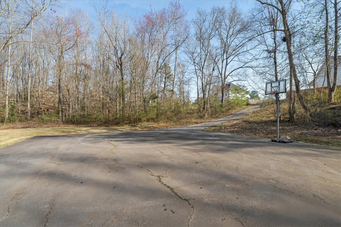49 Puckett Mill Way, Central, South Carolina image 43
