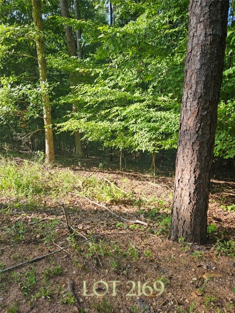 Vacant Land For Sale - LOT 2169 North Sundew Drive<br/> Oconee County, Westminster, SC 29693