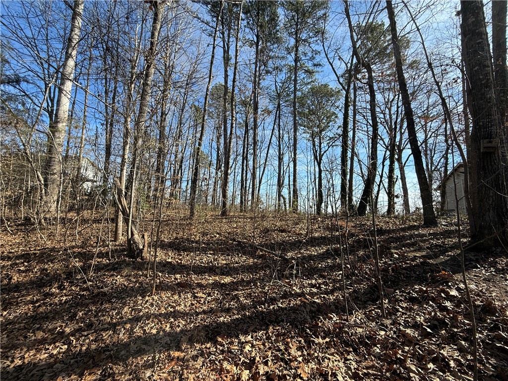 340 Bridgeport Drive, West Union, South Carolina image 21