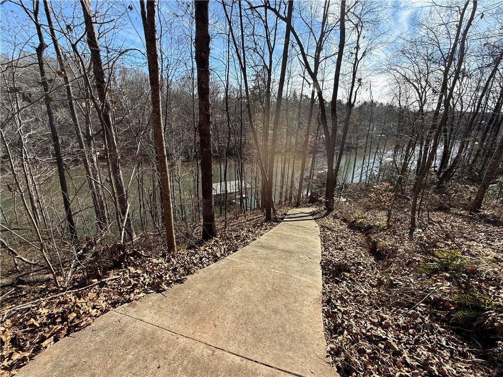 340 Bridgeport Drive, West Union, South Carolina image 17