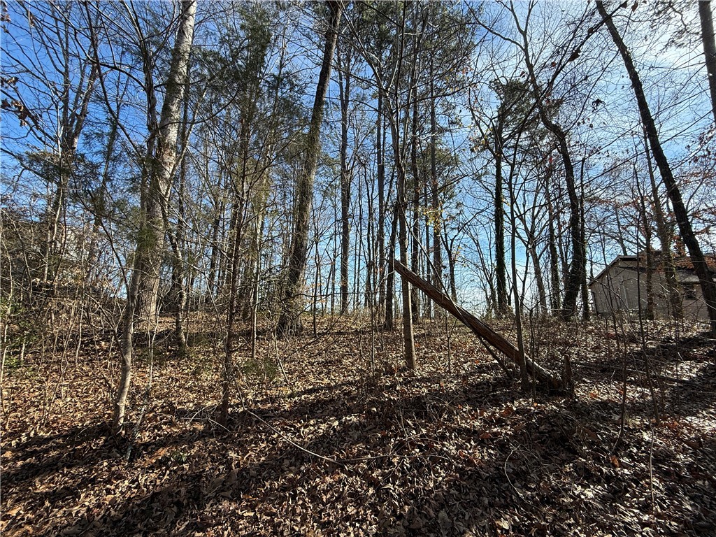 340 Bridgeport Drive, West Union, South Carolina image 20
