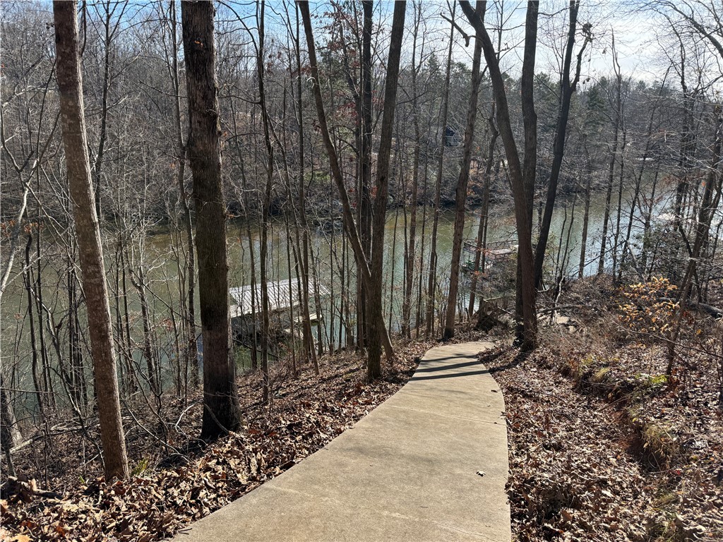 340 Bridgeport Drive, West Union, South Carolina image 16