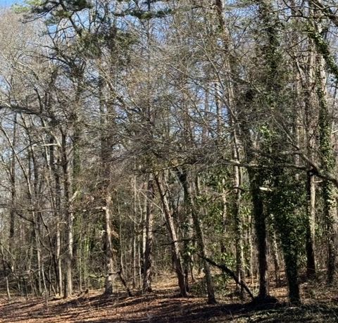 Vacant Land For Sale - LOT 1-C Greenville Street<br/> Anderson, SC 29621