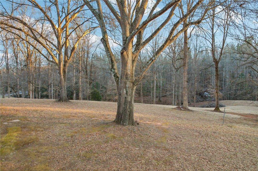 1044 Dalton Road, Marietta, South Carolina image 48