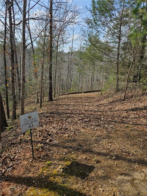Vacant Land For Sale - LOT 43 C@KFS HIGH RIDGE Deerchase Court<br/> Salem, SC 29676