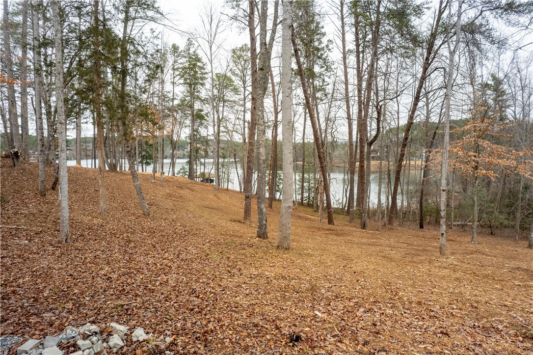 390 Peninsula Ridge, Sunset, South Carolina image 16