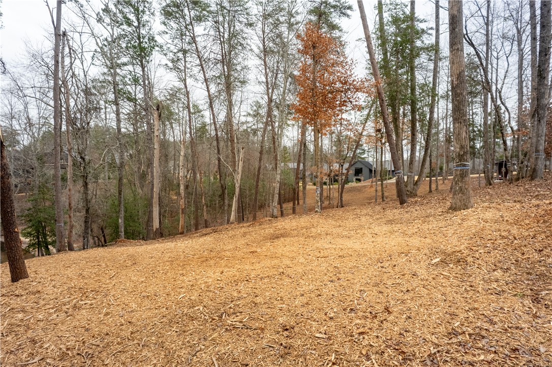 390 Peninsula Ridge, Sunset, South Carolina image 19