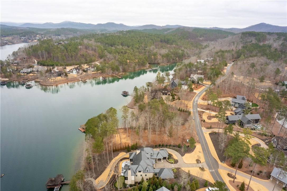 390 Peninsula Ridge, Sunset, South Carolina image 6