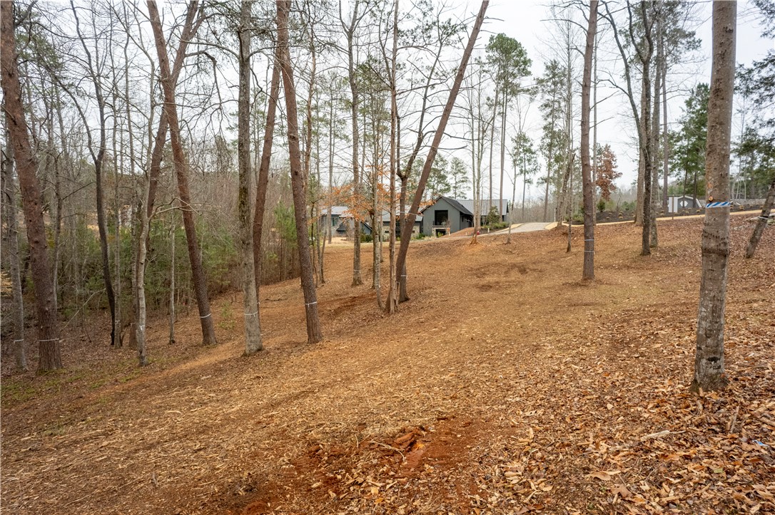 390 Peninsula Ridge, Sunset, South Carolina image 20