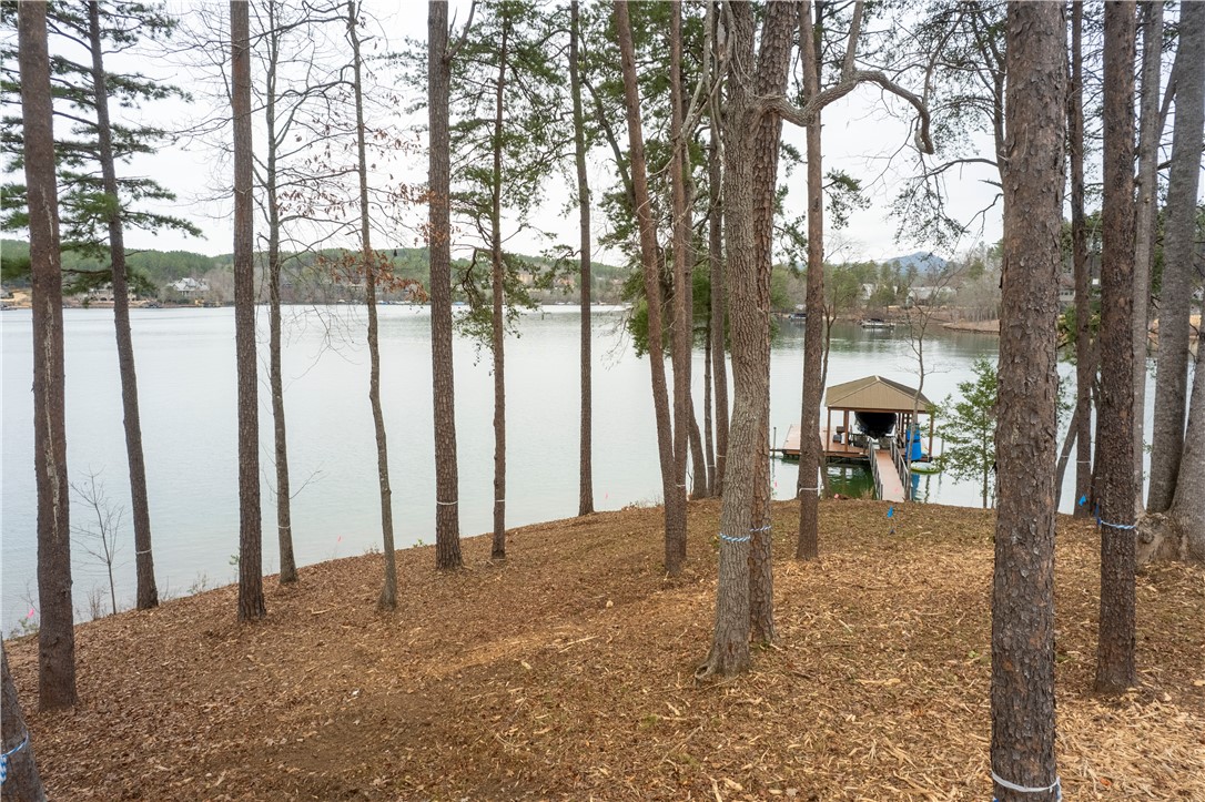 390 Peninsula Ridge, Sunset, South Carolina image 18