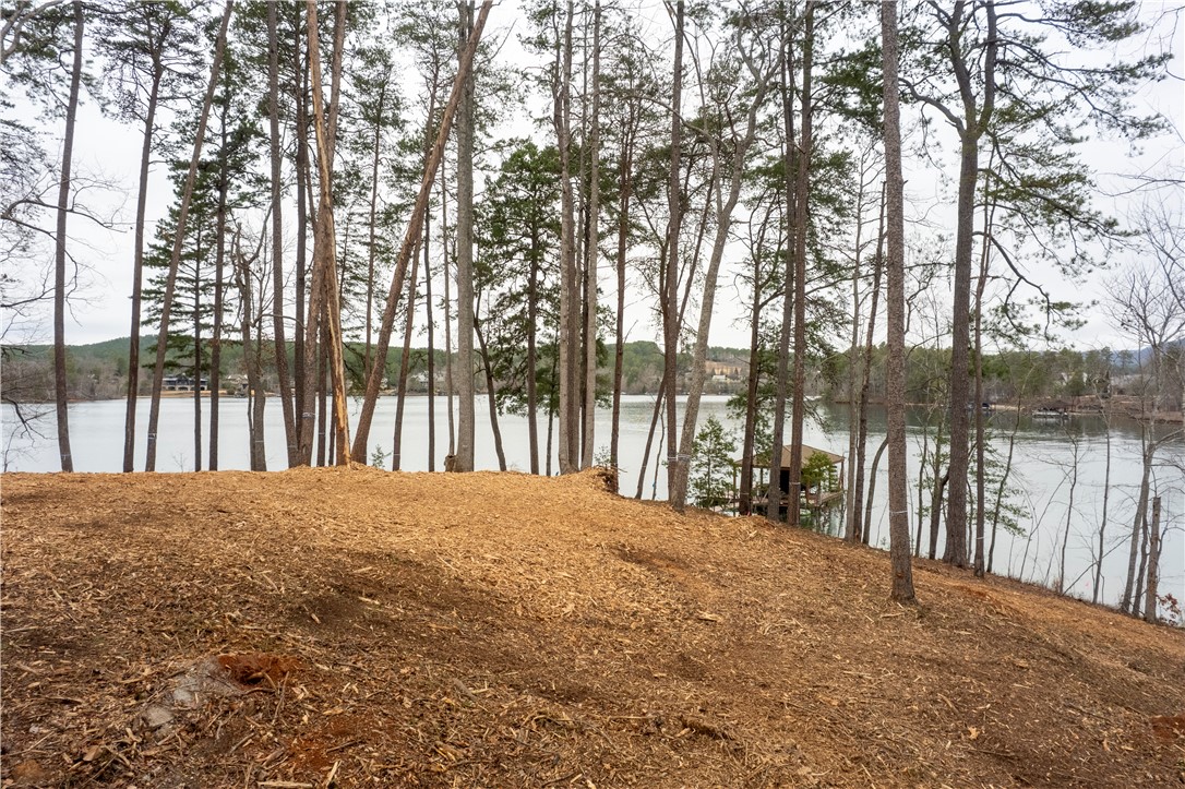390 Peninsula Ridge, Sunset, South Carolina image 17
