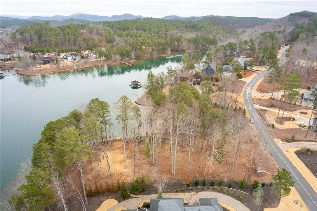 390 Peninsula Ridge, Sunset, South Carolina image 13