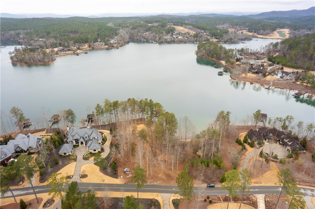 390 Peninsula Ridge, Sunset, South Carolina image 4