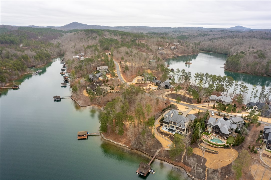 390 Peninsula Ridge, Sunset, South Carolina image 7