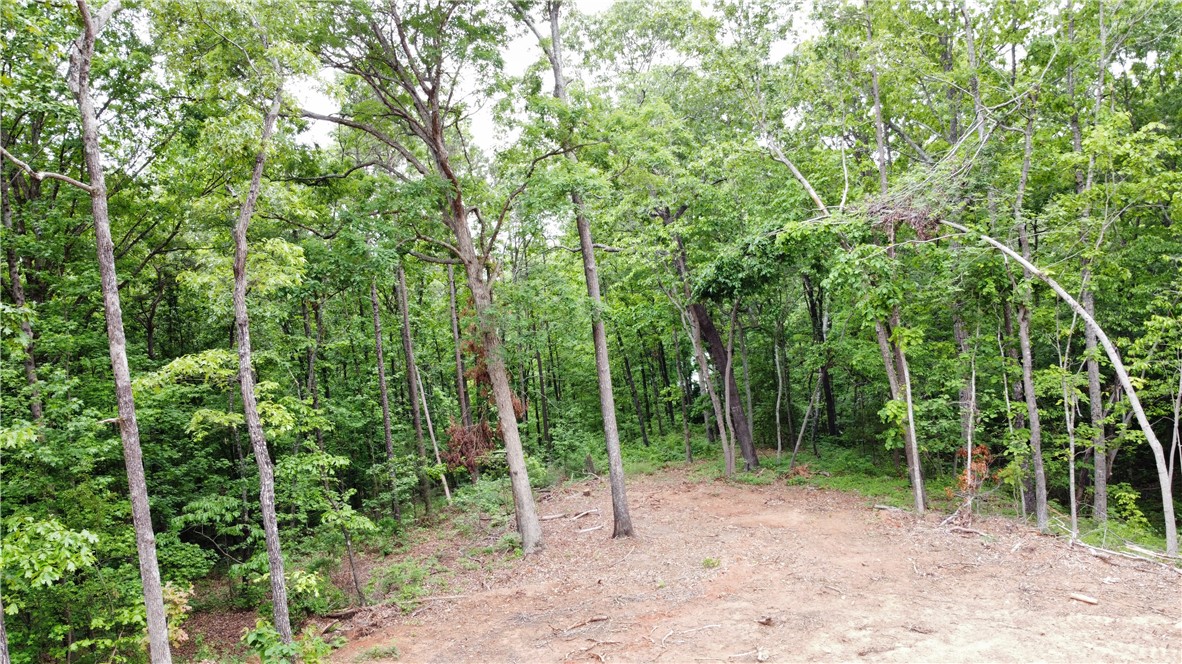 5504 Highway 24, Anderson, South Carolina image 4