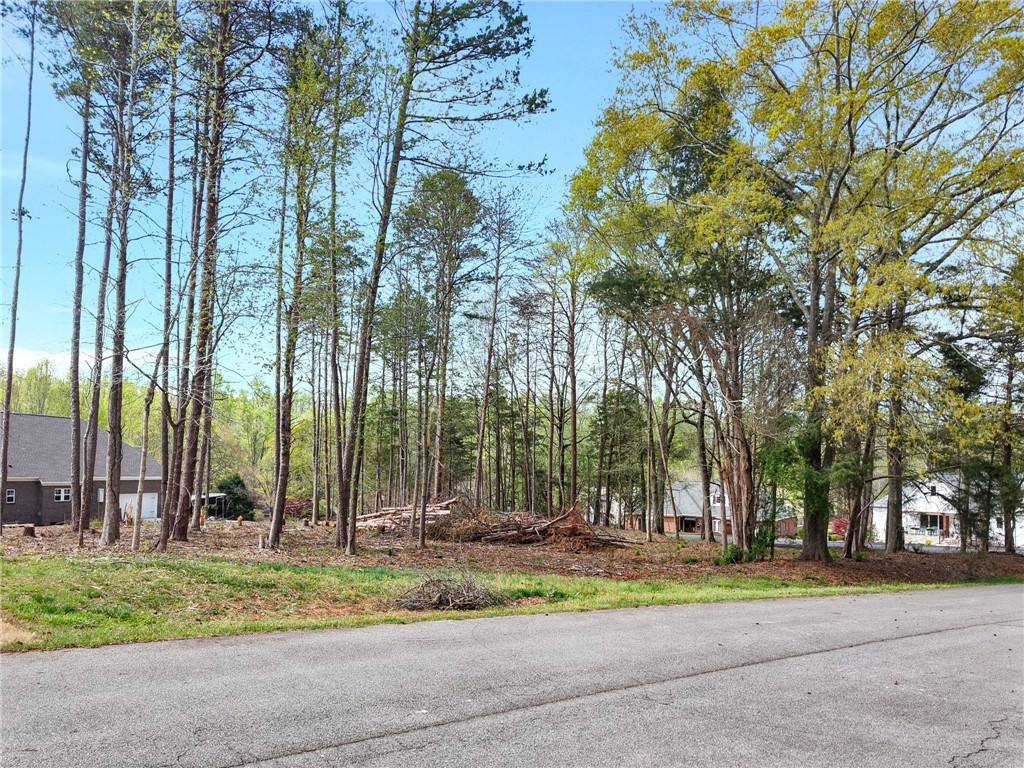 Lot 30 Cross Creek #rocky Creek Drive, Seneca, South Carolina image 4