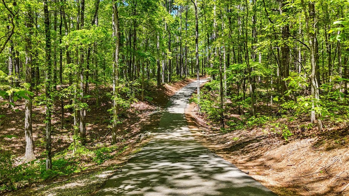 Lot 147 Longwood Drive, Seneca, South Carolina image 7