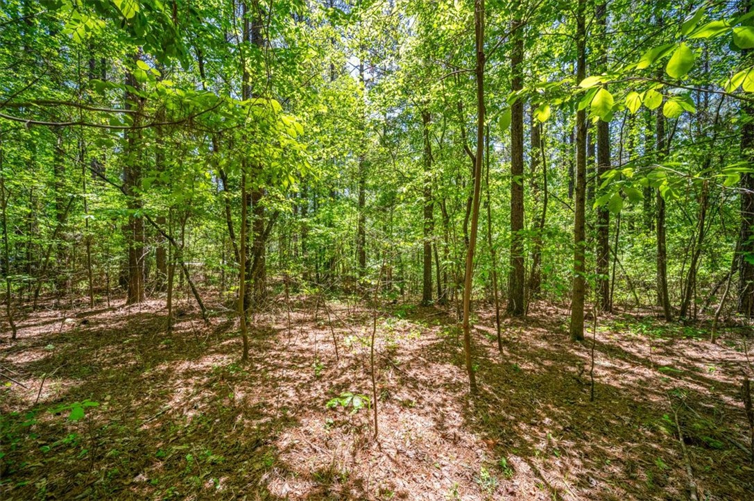 Lot 147 Longwood Drive, Seneca, South Carolina image 10