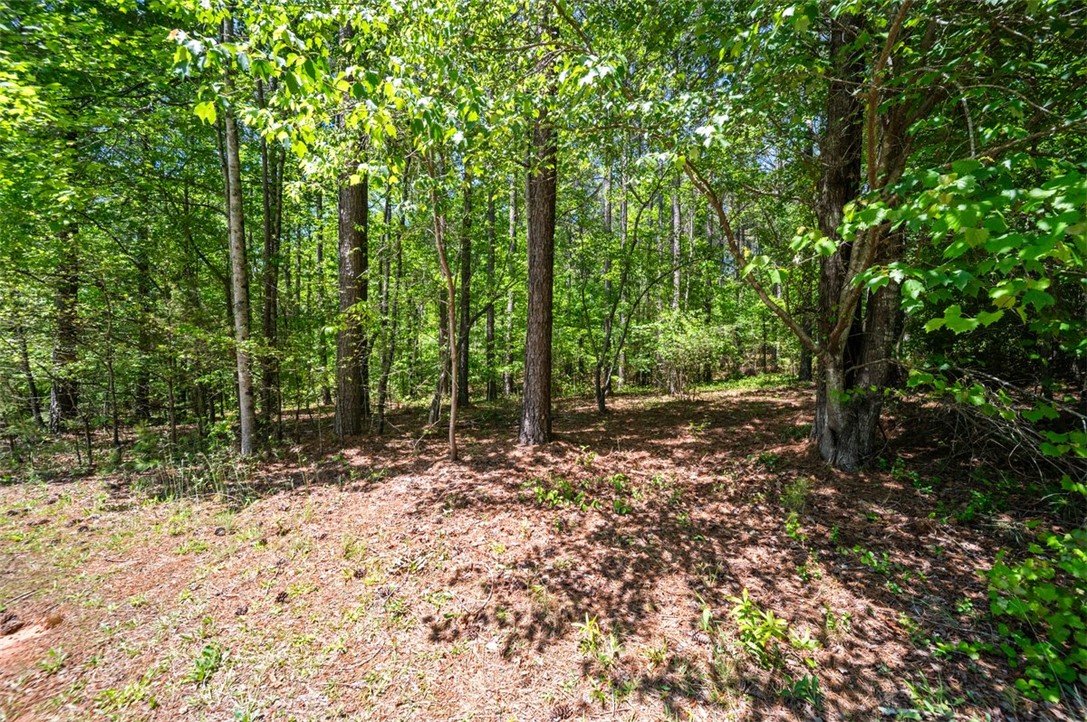 Lot 147 Longwood Drive, Seneca, South Carolina image 20