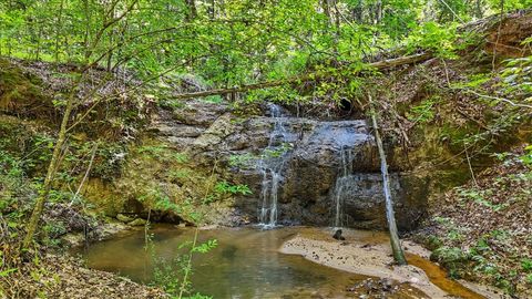 Vacant Land For Sale - 1443 Henderson Road<br/> Laurens County, Gray Court, SC 29645