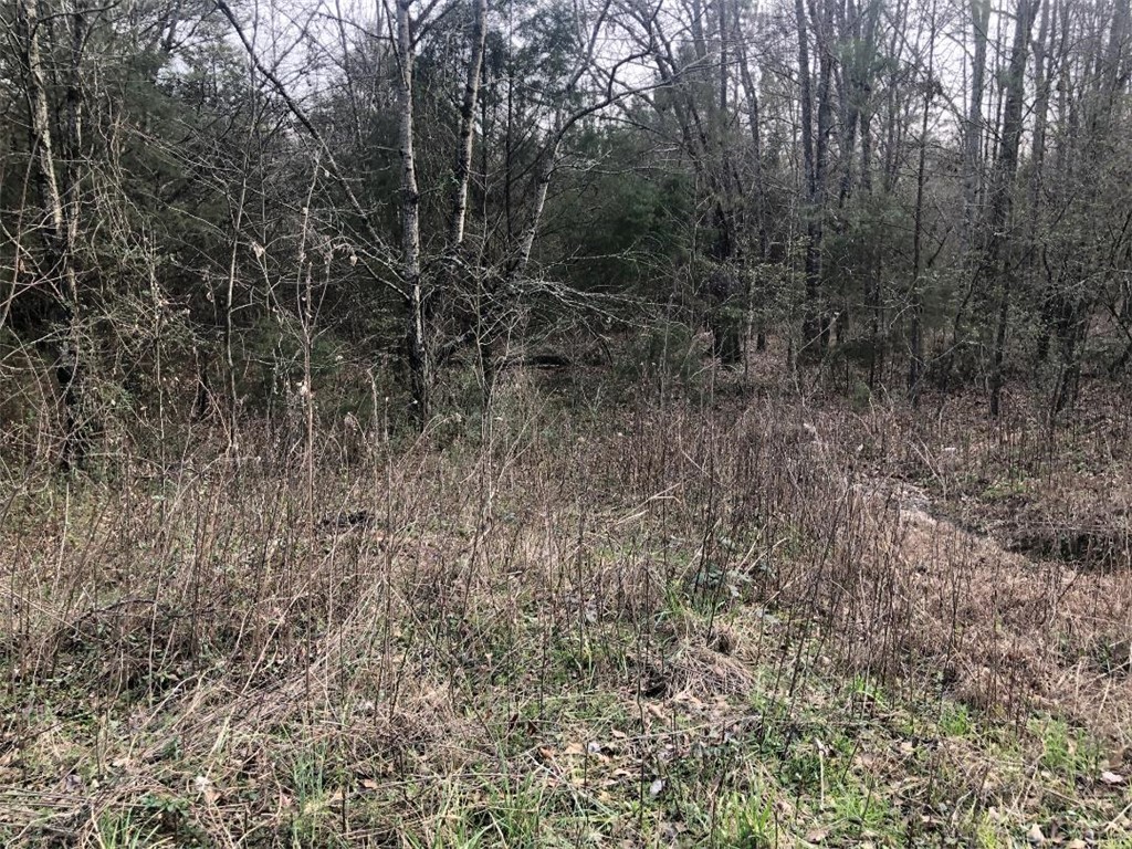00 Asa Hall Road, Iva, South Carolina image 3
